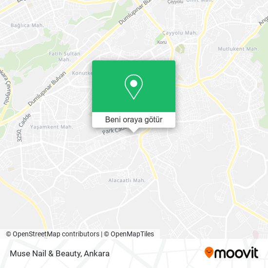 Muse Nail & Beauty harita