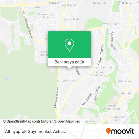 Altınyaprak Gayrimenkul harita