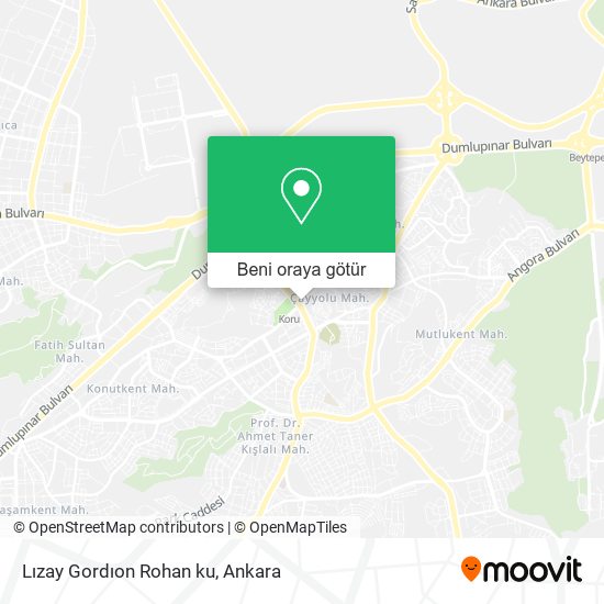 Lızay Gordıon Rohan ku harita
