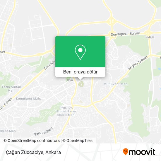 Çağan Züccaciye harita
