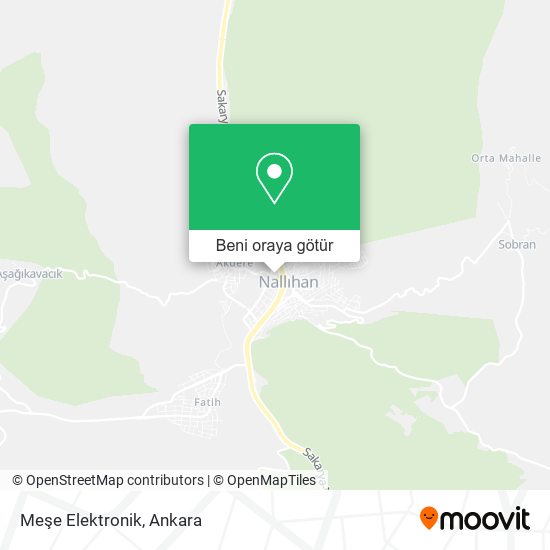 Meşe Elektronik harita