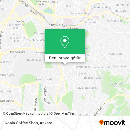 Koala Coffee Shop harita