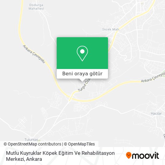 Mutlu Kuyruklar Köpek Eğitim Ve Rehabilitasyon Merkezi harita