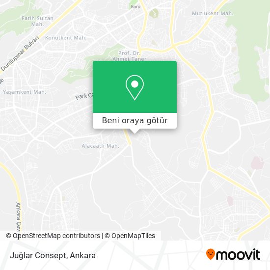 Juğlar Consept harita