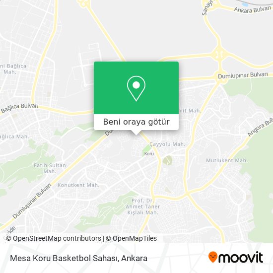 Mesa Koru Basketbol Sahası harita