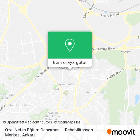 Özel Nefes Eğitim Danışmanlık Rehabilitasyon Merkezi harita