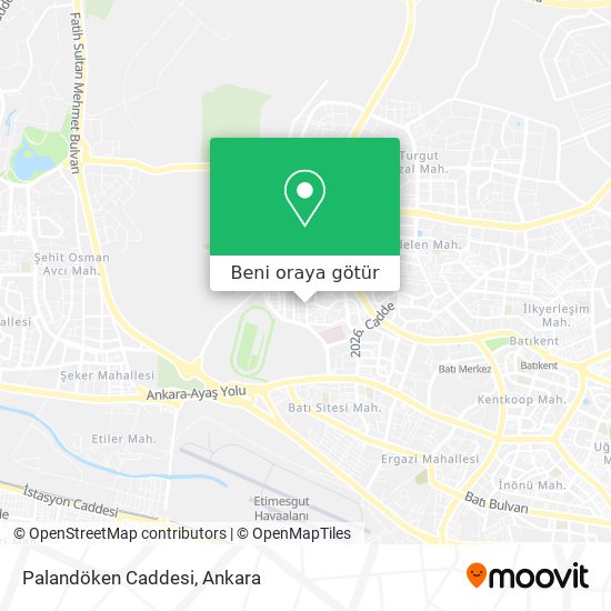 Palandöken Caddesi harita