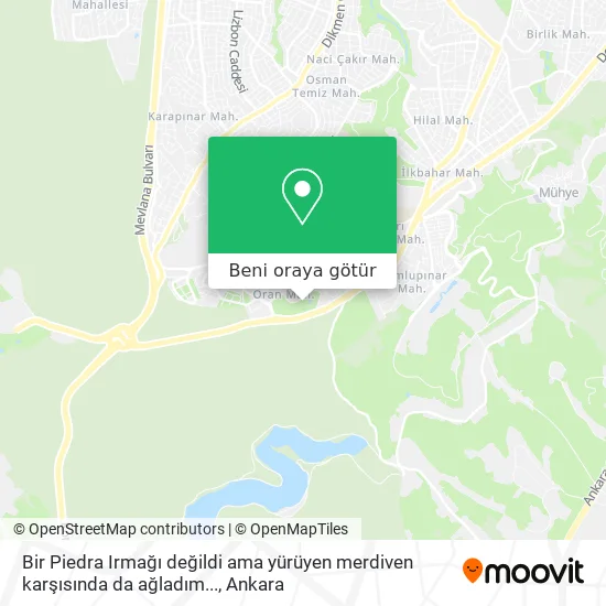 Bir Piedra Irmağı değildi ama yürüyen merdiven karşısında da ağladım... harita
