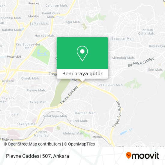Plevne Caddesi 507 harita