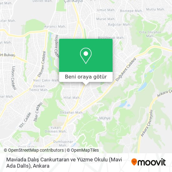 Maviada Dalış Cankurtaran ve Yüzme Okulu (Mavi Ada DalIs) harita