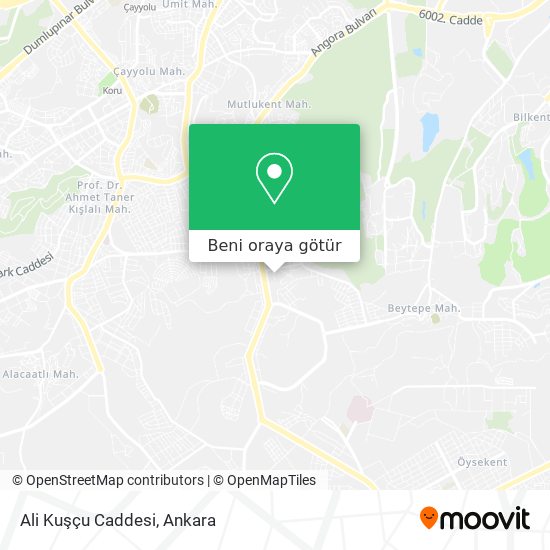 Ali Kuşçu Caddesi harita