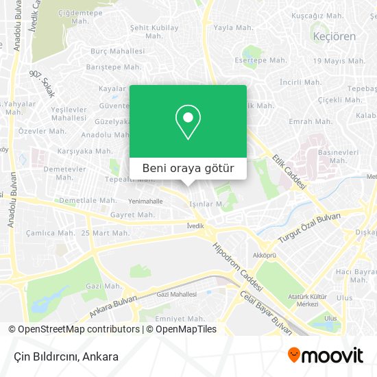 Çin Bıldırcını harita