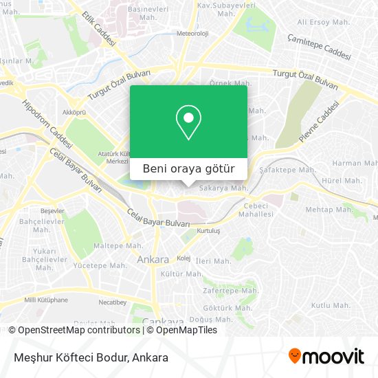 Meşhur Köfteci Bodur harita