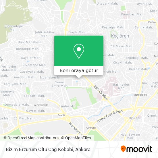 Bizim Erzurum Oltu Cağ Kebabi harita