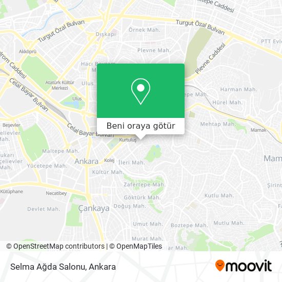 Selma Ağda Salonu harita