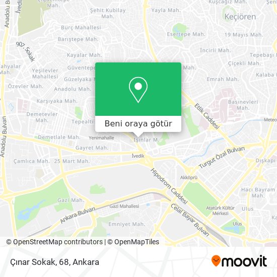 Çınar Sokak, 68 harita