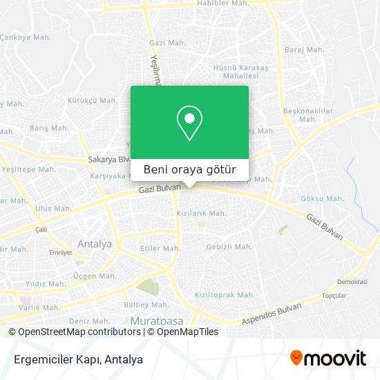 Ergemiciler Kapı harita