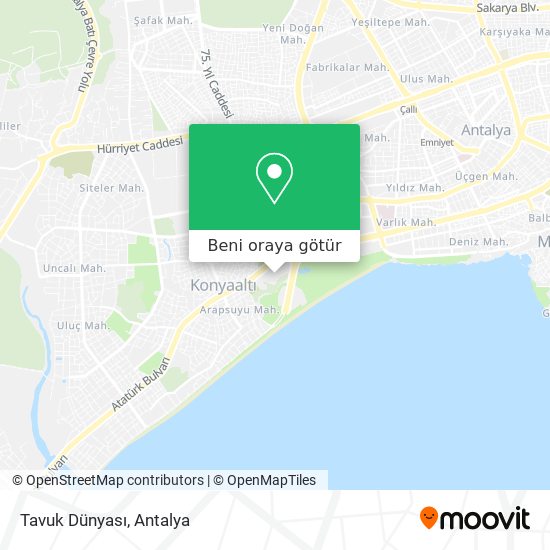 Tavuk Dünyası harita
