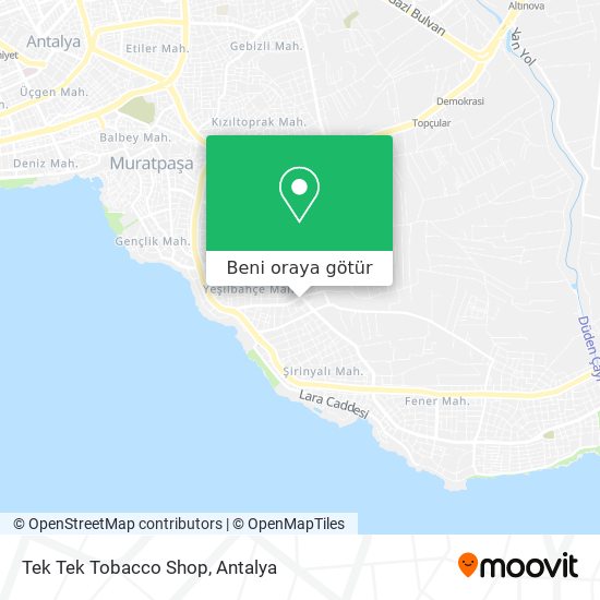 Tek Tek Tobacco Shop harita