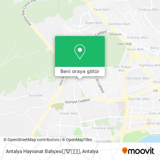 Antalya Hayvanat Bahçesi🐰🐮🐶🐒🐯 harita