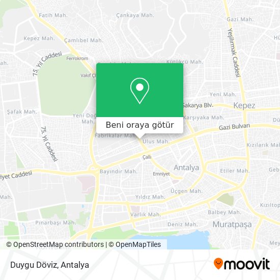 Duygu Döviz harita