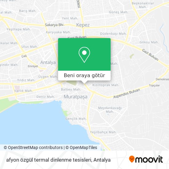 afyon özgül termal dinlenme tesisleri harita