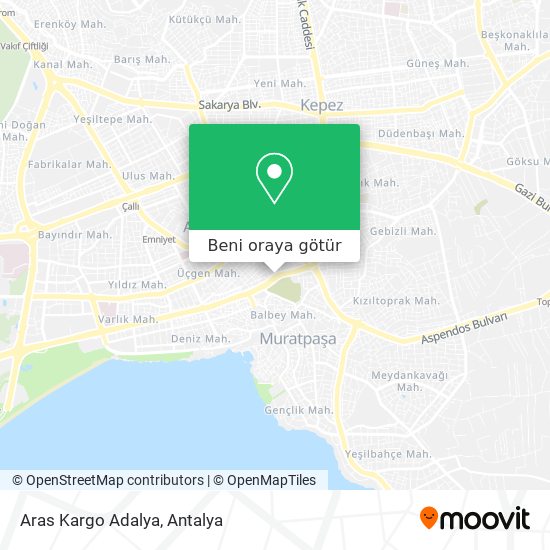 Aras Kargo Adalya harita