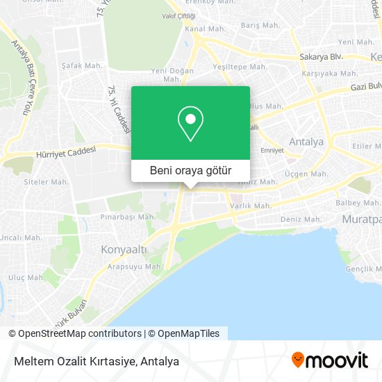 Meltem Ozalit Kırtasiye harita