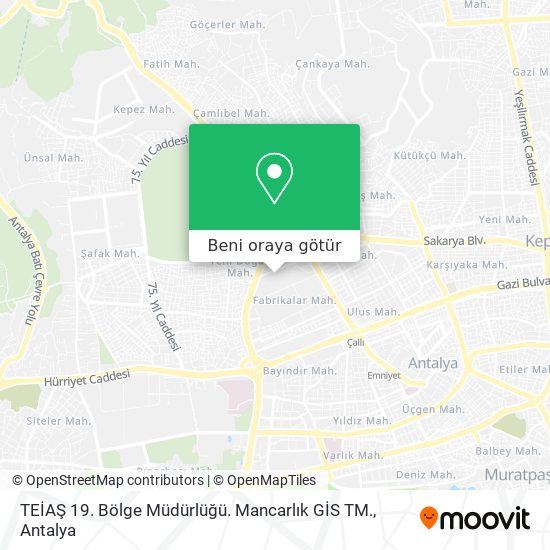 TEİAŞ 19. Bölge Müdürlüğü. Mancarlık GİS TM. harita