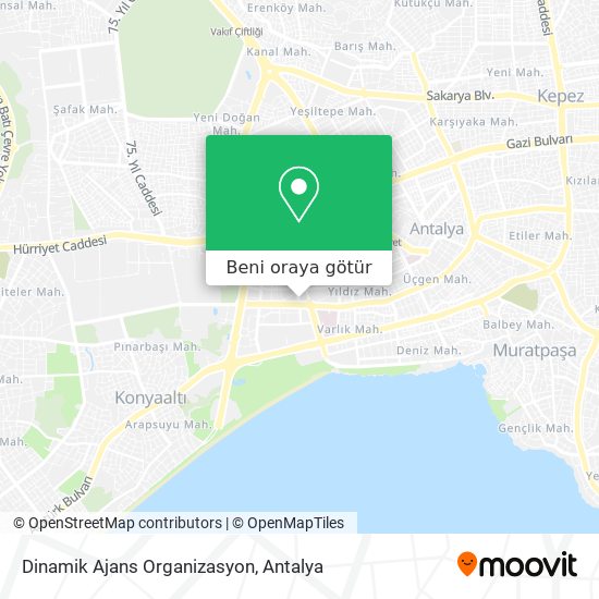 Dinamik Ajans Organizasyon harita