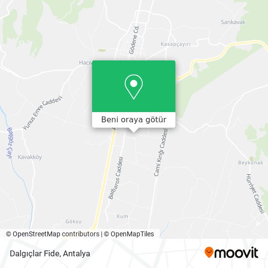 Dalgıçlar Fide harita