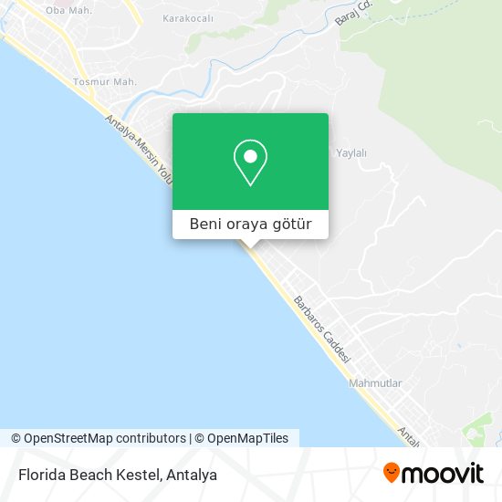 Florida Beach Kestel harita