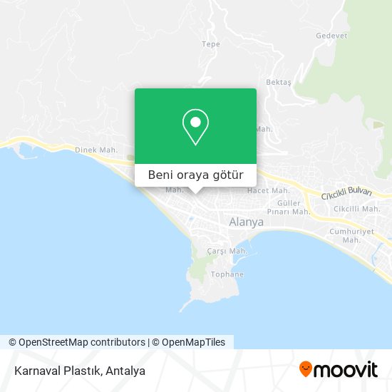 Karnaval Plastık harita