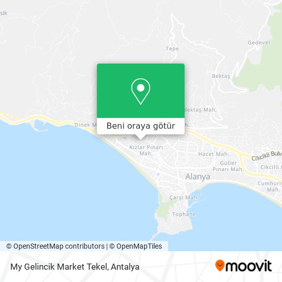 My Gelincik Market Tekel harita