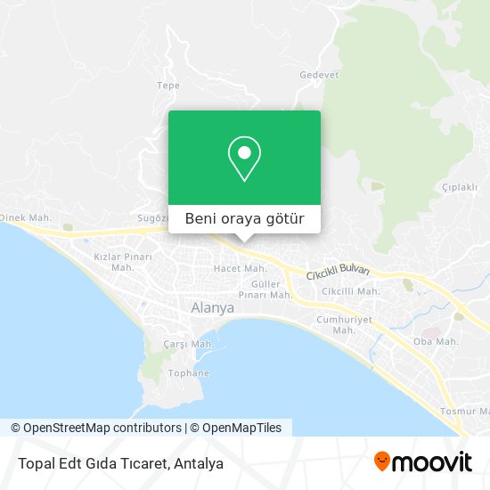 Topal Edt Gıda Tıcaret harita