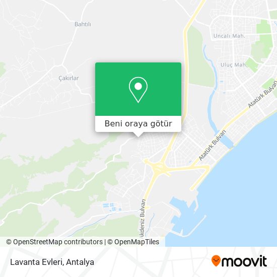 Lavanta Evleri harita