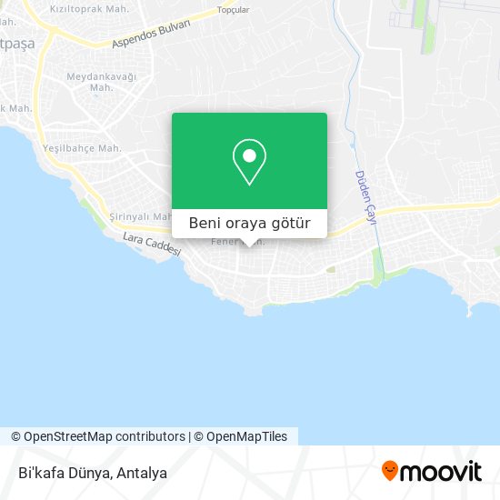 Bi'kafa Dünya harita