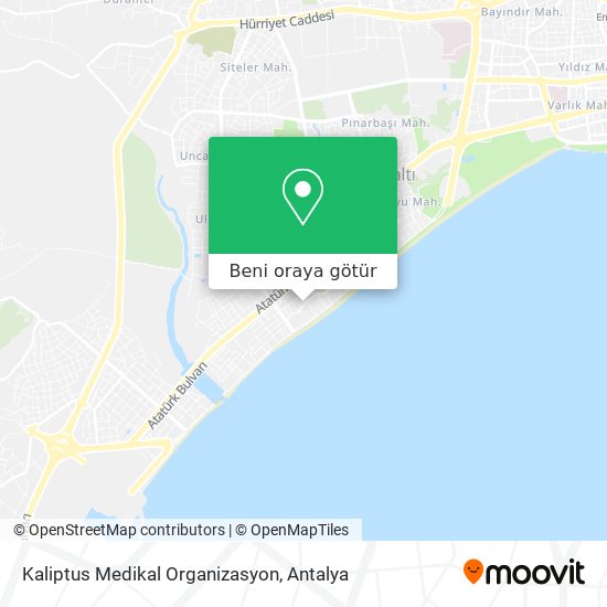 Kaliptus Medikal Organizasyon harita