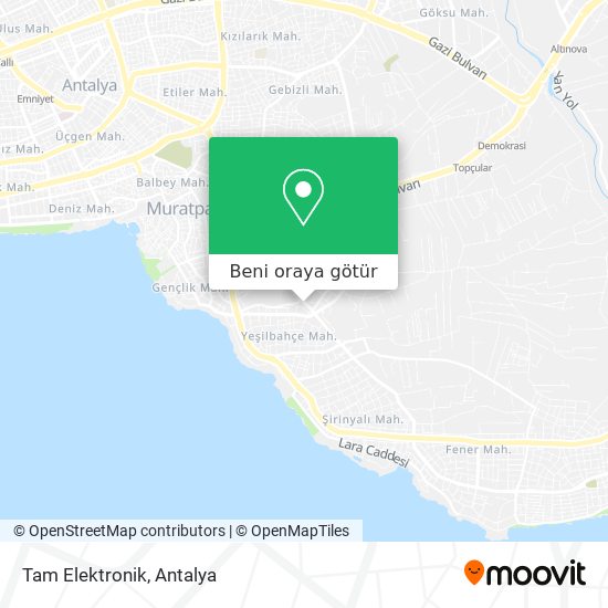 Tam Elektronik harita