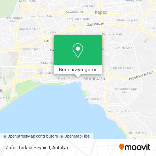 Zafer Tarlacı Peynır T harita