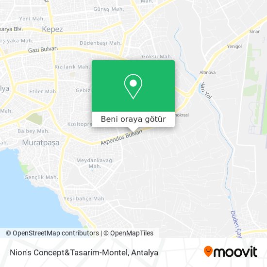 Nion's Concept&Tasarim-Montel harita