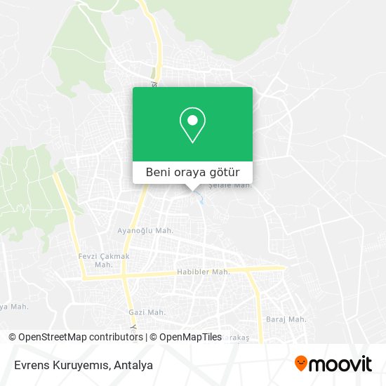 Evrens Kuruyemıs harita