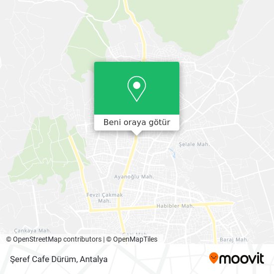 Şeref Cafe Dürüm harita