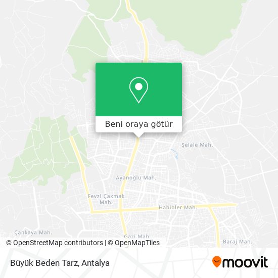 Büyük Beden Tarz harita