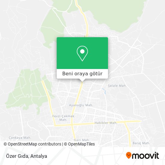 Özer Gıda harita