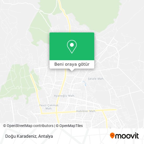 Doğu Karadeniz harita