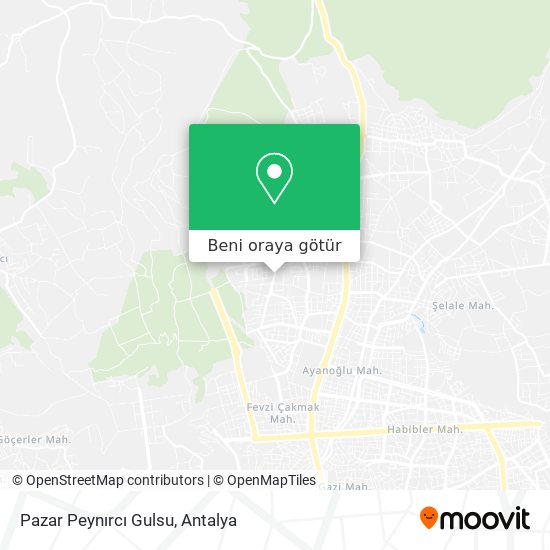 Pazar Peynırcı Gulsu harita