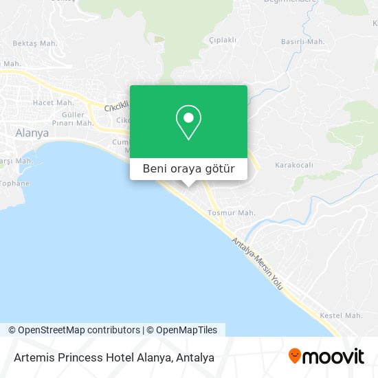 Artemis Princess Hotel Alanya harita
