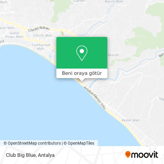 Club Big Blue harita