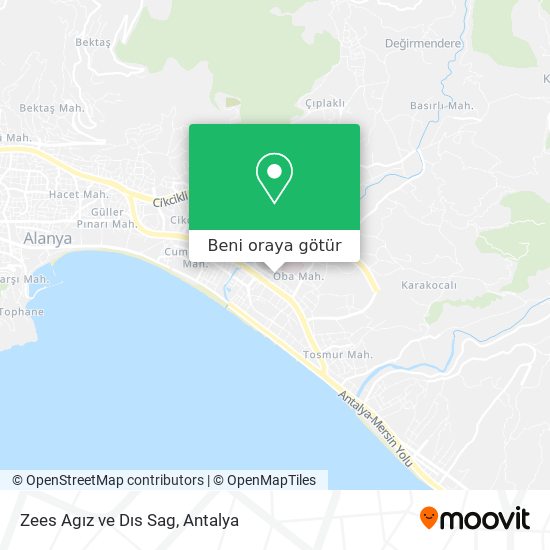 Zees Agız ve Dıs Sag harita
